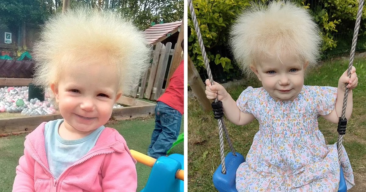t7 4 1.png?resize=1200,630 - EXCLUSIVE: Toddler Gains Internet Fame For Having The World's Craziest Hair That Can't Be Tamed