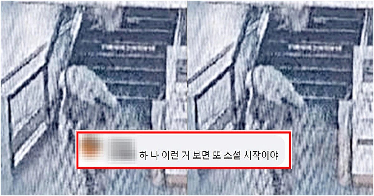 4.jpg?resize=412,232 - "이건 운명입니다" 계단에서 미끄러진 여성을 한 치 망설임 없이 몸 날려 받은 남성