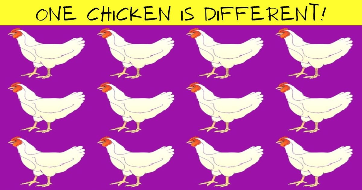 add a heading.jpg?resize=1200,630 - How Quickly Can You Spot The ODD One Out? One Chicken Is Different Than The Rest!