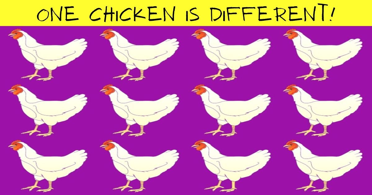 add a heading.jpg?resize=412,275 - How Quickly Can You Spot The ODD One Out? One Chicken Is Different Than The Rest!