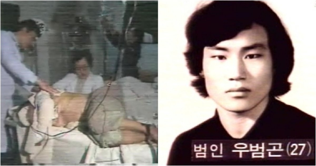 cats.jpg?resize=1200,630 - "하루에 백명..." 한국에서 하루에 가장 많은 사람을 사망하게 만든 기네스북에 오른 살인마