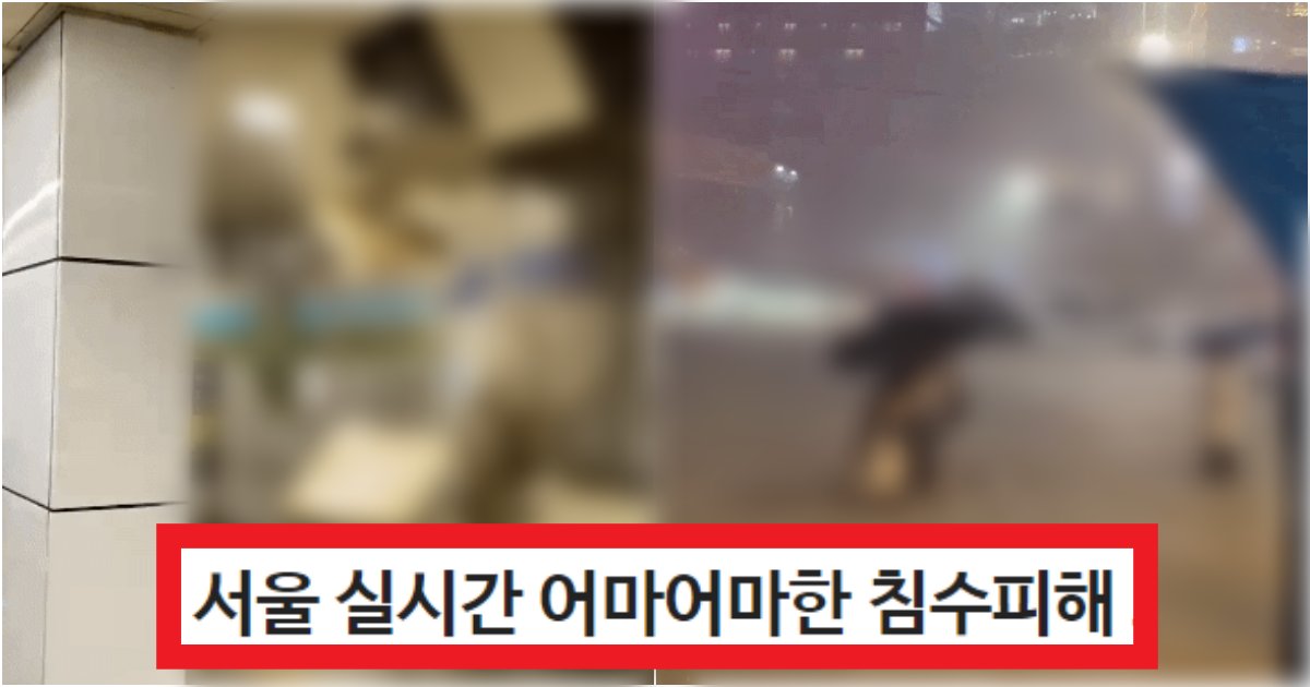 collage 100.png?resize=412,275 - '진짜 눈물나고 무섭다..' 현재 폭우로 난리 났지만 모르는 사람들이 많은 역대급 이유(+현장사진)