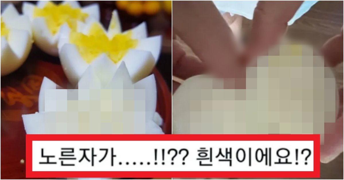 collage 109.png?resize=412,275 - '그래서 먹어도 돼? 안돼?' 삶은 계란의 노른자가 '흰색'인 역대급 이유(+사진)