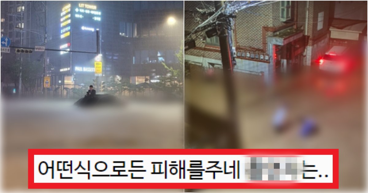 collage 115.png?resize=412,275 - '진짜 이제 습관 고치자..' 수도권 물 난리가 유독 심해져 버린 충격적인 이유(+사진)