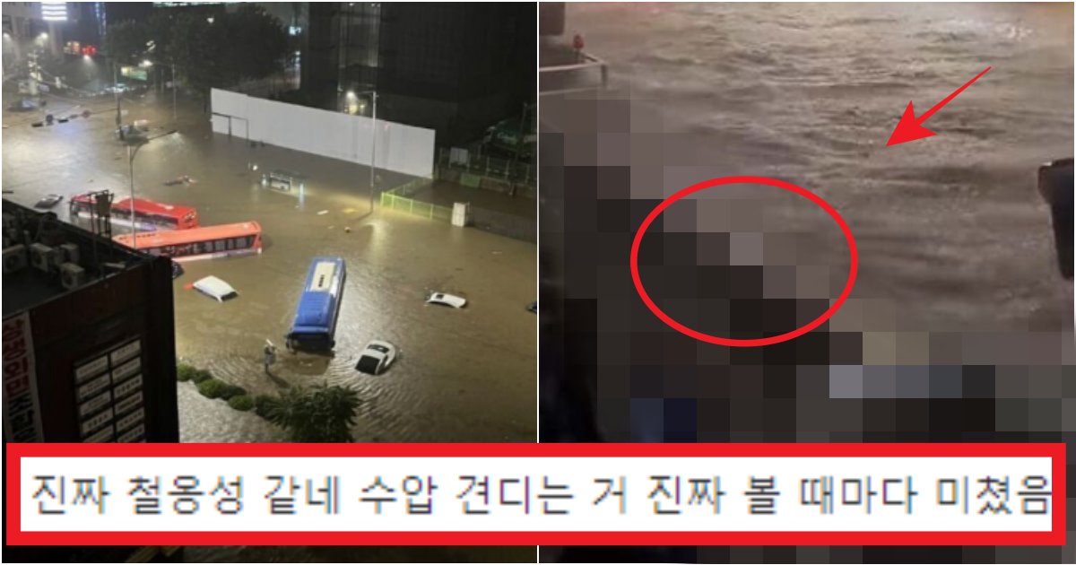 collage 128.png?resize=412,275 - '우리도 하자..' 이번 역대급 폭우로 유일하게 '침수' 안 당한 서초구 '건물주' 큰 그림수준(+사진)