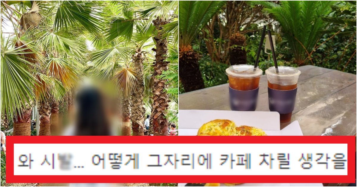 collage 35.png?resize=412,275 - '간다고 하면 뜯어 말려주세요' 경기도 화성에 있는 이 '카페'는 절대 가지 말아야 하는 역대급 이유(+사진)