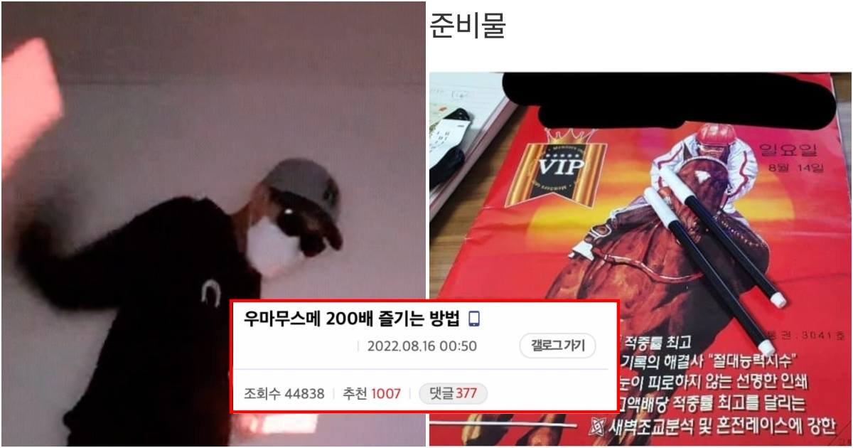 collage 38.jpg?resize=412,275 - 우마무스메 200배 더 재밌게 즐기는 방법