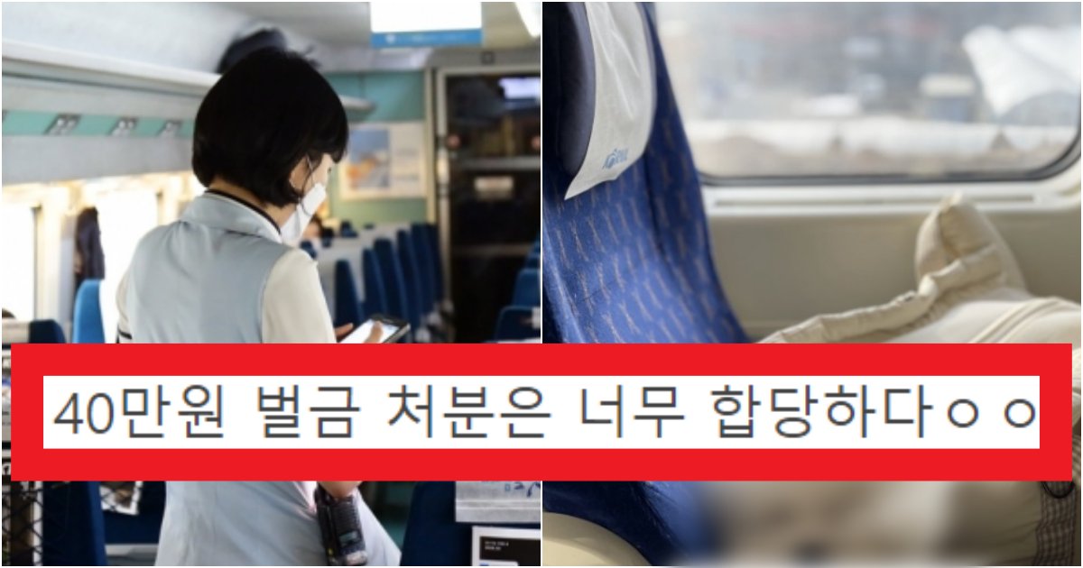 collage 42.png?resize=412,275 - '벌금 낸게 너무 억울해요ㅡㅡ' KTX 옆자리에 강아지 태웠다가 '벌금 40만원' 낸 이유(+상황)