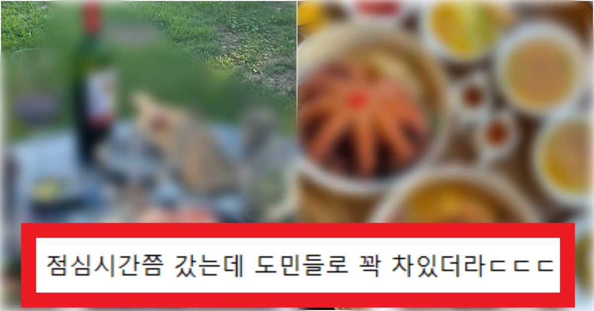 collage 60.png?resize=412,275 - '거의 모르는 곳이라...' 제주도에서 한달살기 한 사람이 '찐맛집' 리스트를 뿌려 난리 난 상황(+사진)