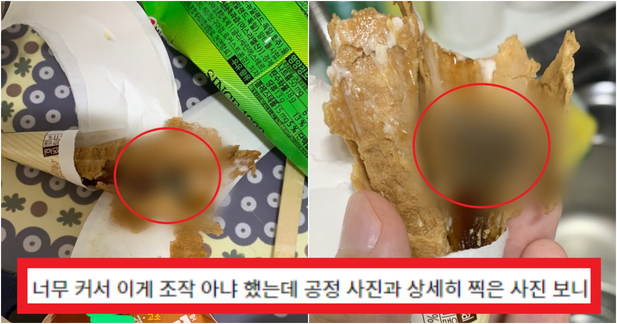 collage 65.png?resize=412,275 - '딱 봐도 공장인데ㅋㅋ?' 콘 아이스크림 먹다가 '이것' 발견 해 죽을 뻔한 근황(+정체, 결과)