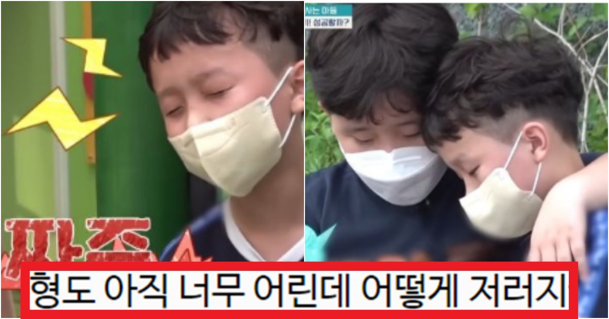 collage 69.png?resize=412,275 - '형이 항상 같이 있을 순 없어..' 뇌파전사 금쪽이 곁에서 묵묵히 지켜주는 형(+상황)