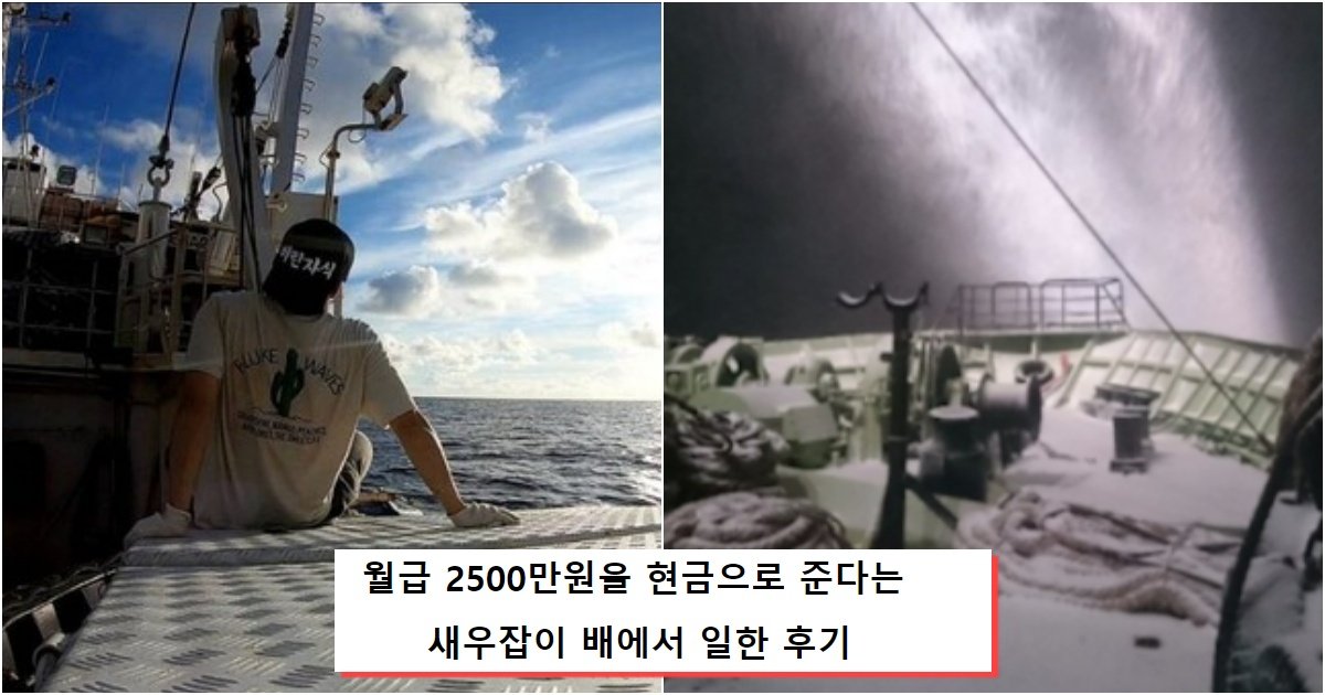 collage 71.jpg?resize=1200,630 - 월급 2500만원을 현금으로 준다는 새우잡이 배에서 일한 후기