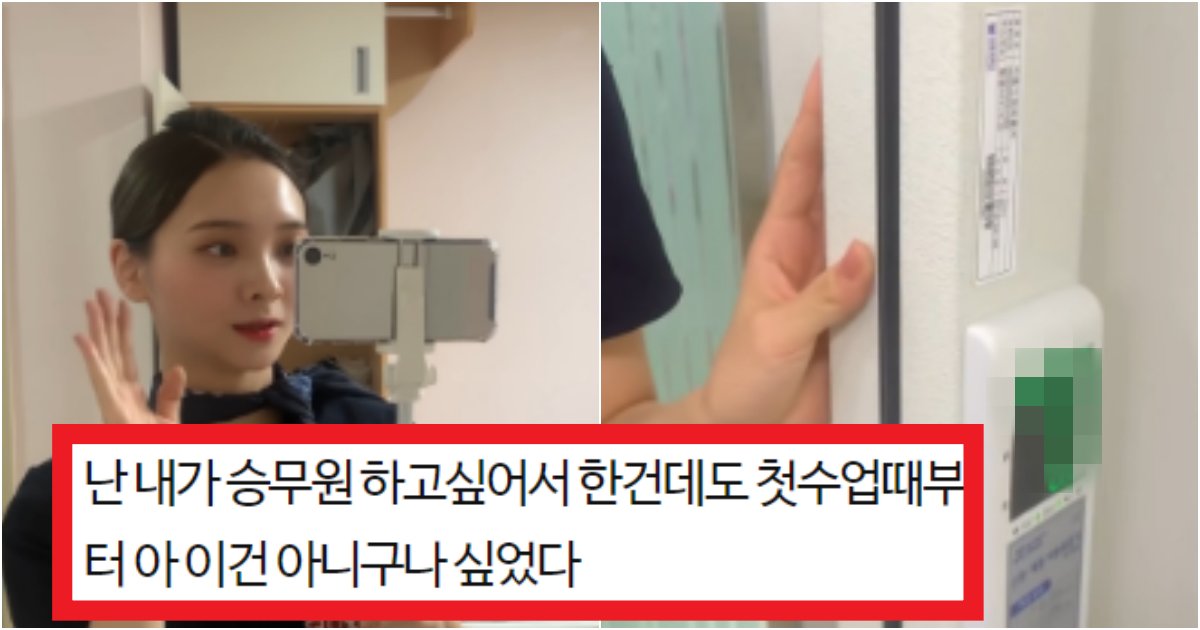 collage 81.png?resize=412,275 - '왜 존재하는지 모르겠는 학과..' 승객의 안전을 책임지는 '승무원' 강의실에 체중계있는 항공과 수준(+사진)