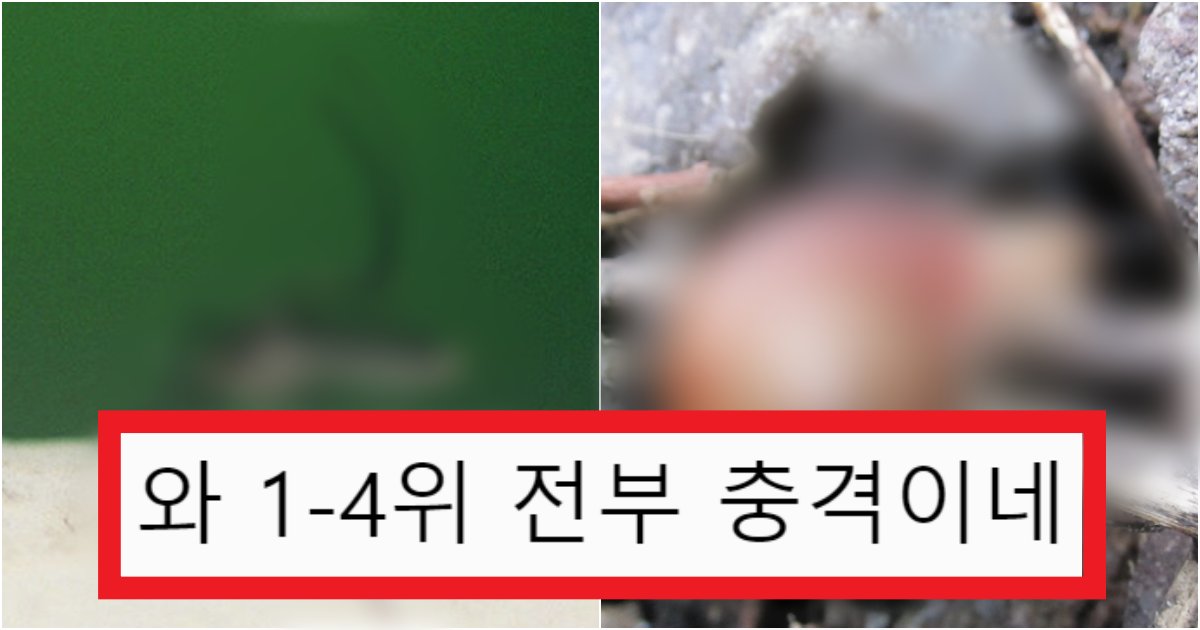 collage 85.png?resize=412,275 - '너무 충격이라서..' 한해 동안 인간들에게 가장 많이 해치는 동물의 수준(+TOP10)