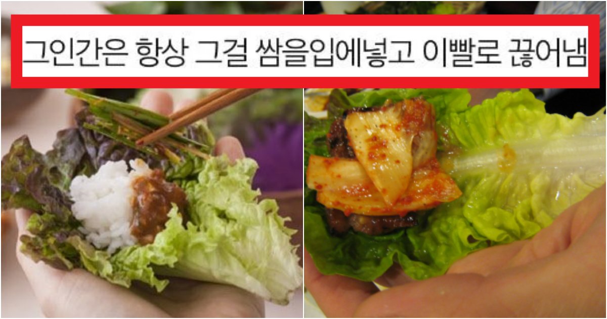 collage 87.png?resize=412,275 - '왜 더러워? 니가 이상해ㅋ~' 남친이 먹다 버린 '상추 꽁다리' 때문에 '파혼' 당한 사연(+상황)