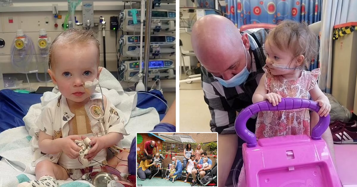 d101.jpg?resize=1200,630 - "Please Save Our Little Angel!"- Heartbroken Dad Makes Urgent Appeal For 18-Month-Old Daughter In Need Of Heart Transplant