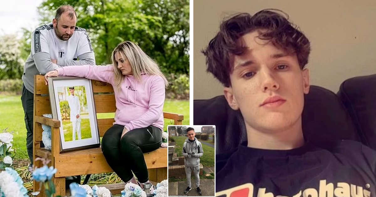 d22.jpg?fit=1024%2C538&ssl=1&strip=all - JUST IN: Notorious Gang Of TEN Teens JAILED For 124 Years After Ruthlessly Murdering 'Innocent' 18-Year-Old Boy
