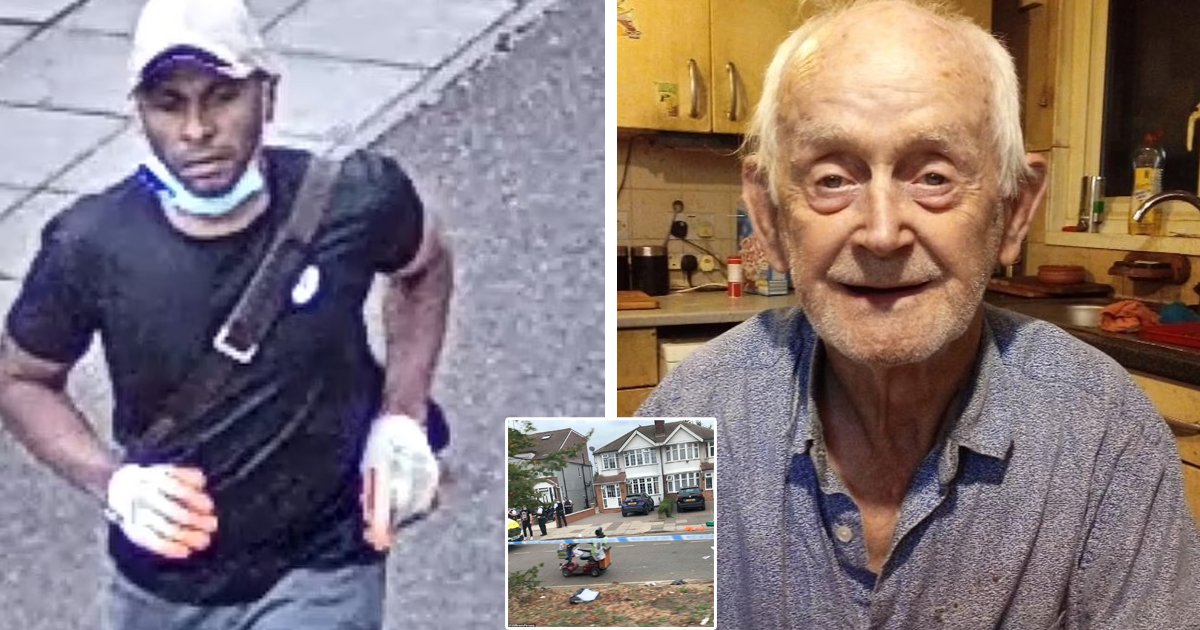 d41.jpg?resize=412,275 - Heartbreaking Final Moments Show Elderly Mobility Scooter Murder Victim BEGGING For Help After Being Fatally STABBED