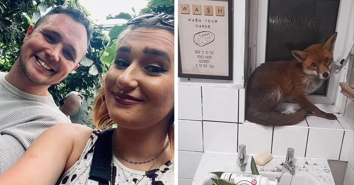 d96.jpg?fit=1024%2C538&ssl=1&strip=all - EXCLUSIVE: Petrified Couple Wake Up To Find 'Bushy-Tailed' Intruder WATCHING Them Sleep Inside Their Bedroom