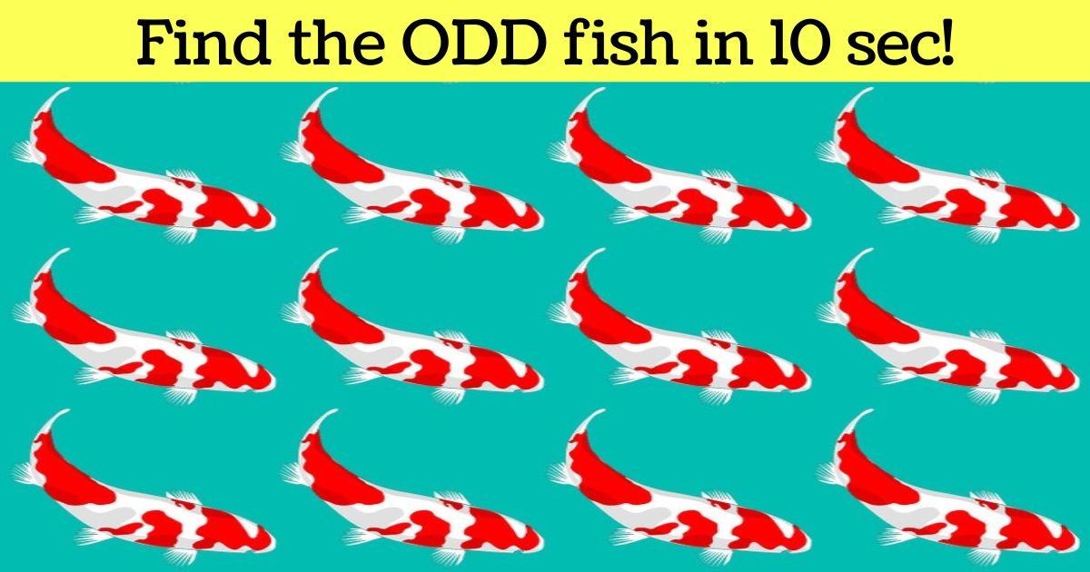 find the odd fish in 10 sec.jpg?resize=1200,630 - Only A Few People Could Spot The ODD Fish In This Picture! Can You Do It?