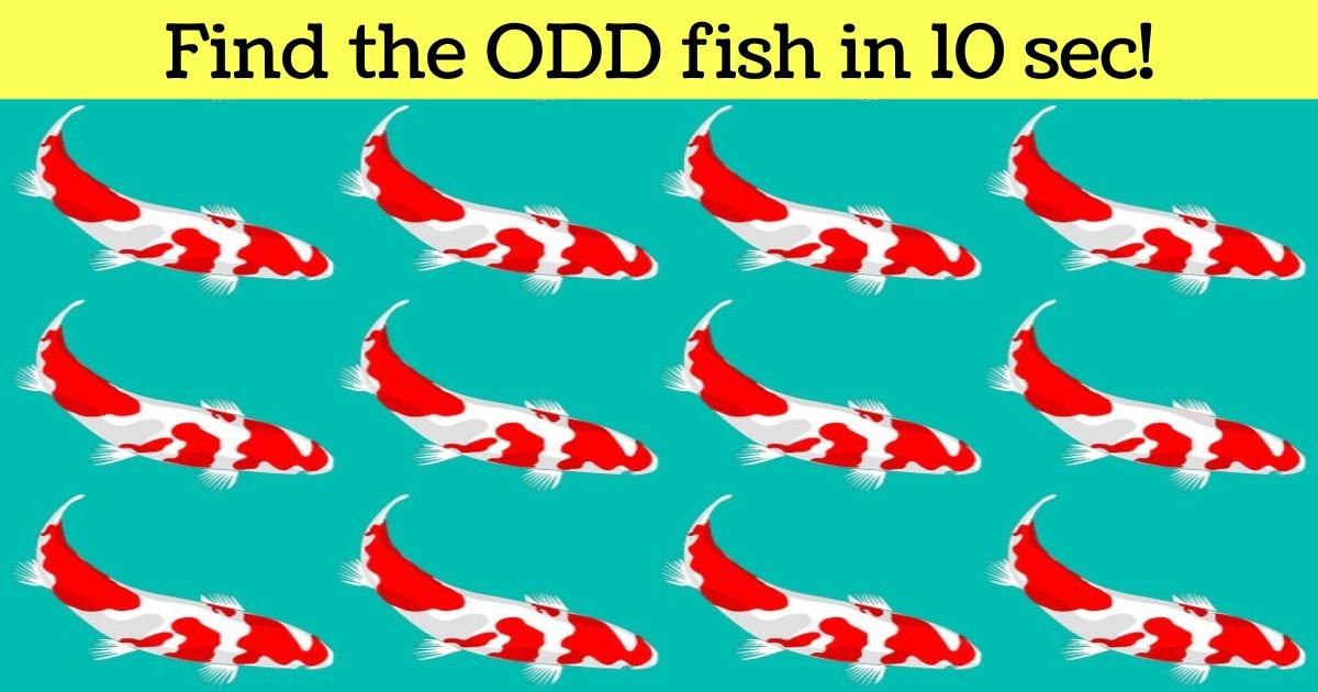 find the odd fish in 10 sec.jpg?fit=1024%2C538&ssl=1&strip=all - Only A Few People Could Spot The ODD Fish In This Picture! Can You Do It?