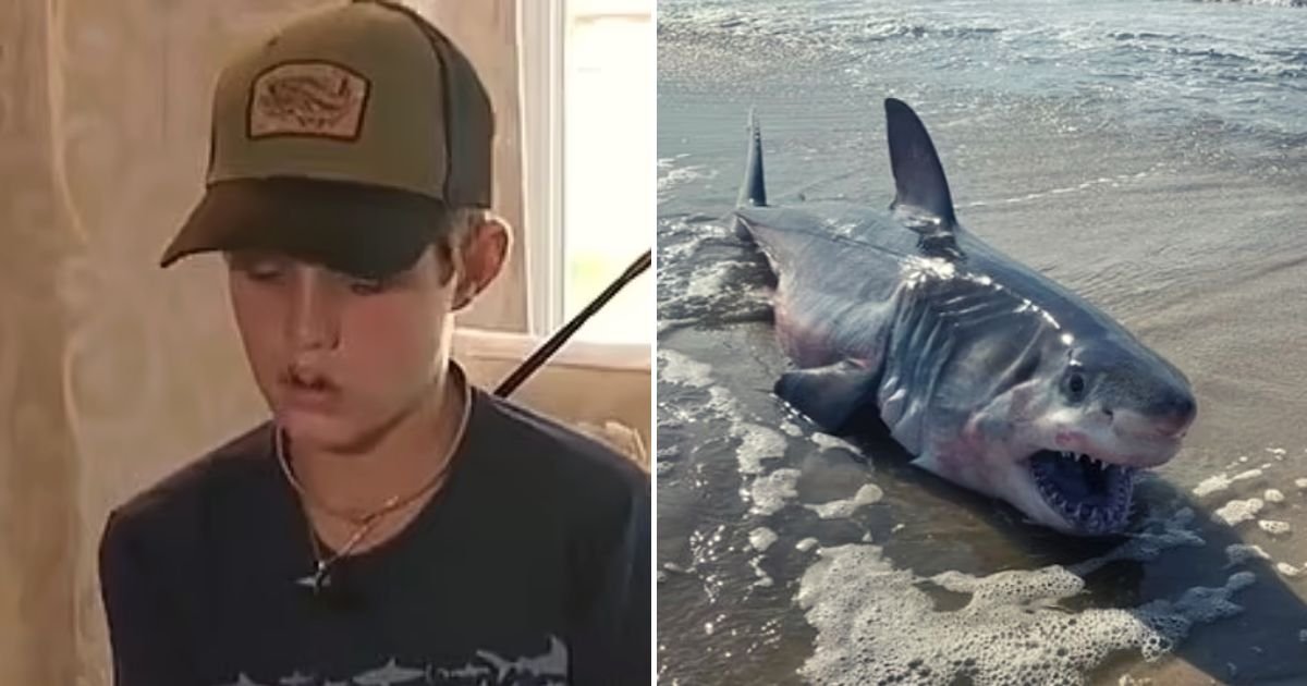 shark5.jpg?resize=1200,630 - 13-Year-Old Boy RUSHED To Hospital After A Shark Bit Him In The FACE While On A Lobstering Expedition Off The Coast Of Florida