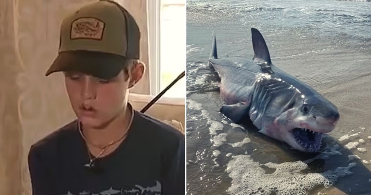 shark5.jpg?fit=1024%2C538&ssl=1&strip=all - 13-Year-Old Boy RUSHED To Hospital After A Shark Bit Him In The FACE While On A Lobstering Expedition Off The Coast Of Florida