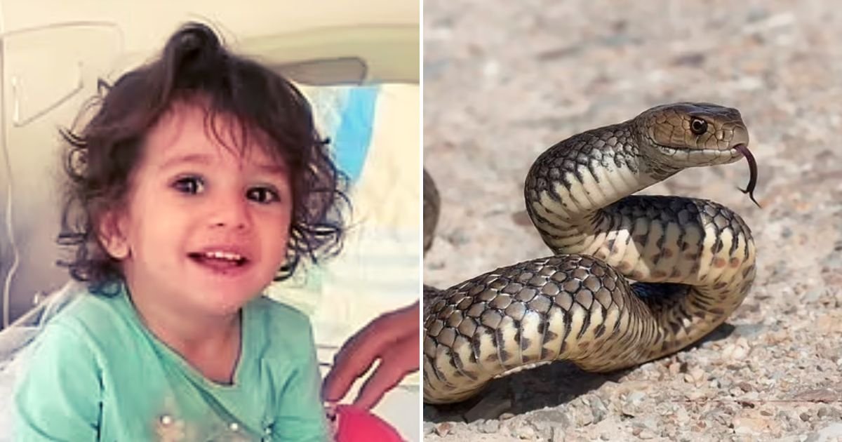 snake4.jpg?resize=1200,630 - A 2-Year-Old Girl Sinks Her Teeth Into 20-Inch SNAKE In Revenge After The Reptile Had Bitten Her