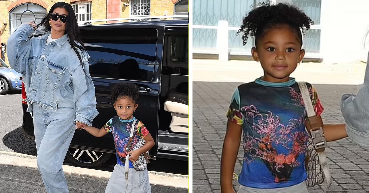 t1 15.png?resize=412,232 - 4-Year-Old Stormi Webster Clutches A $3000 Dior Handbag While Walking With Her Mother Kylie Jenner