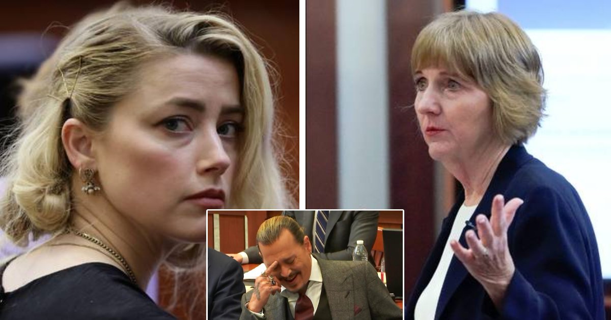 t1 2.png?resize=412,275 - BREAKING: Amber Heard Hires NEW Legal Team For Johnny Depp Appeal