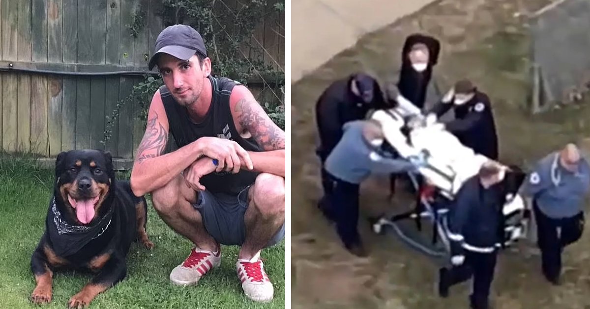 t4 1.png?fit=1024%2C538&ssl=1&strip=all - JUST IN: Young Woman & Her Two Kids SAVAGED During Brutal Dog Attack As Cops ARREST Owner