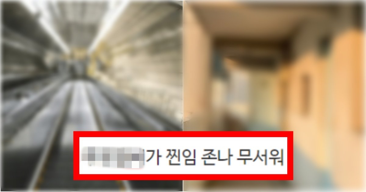 collage 100.jpg?resize=412,275 - '진짜 딴 건 안 무서운데...' 고소공포증이 있는 사람들은 의외로 엄청 무서워 한다는 장소들(+사진, 정체)