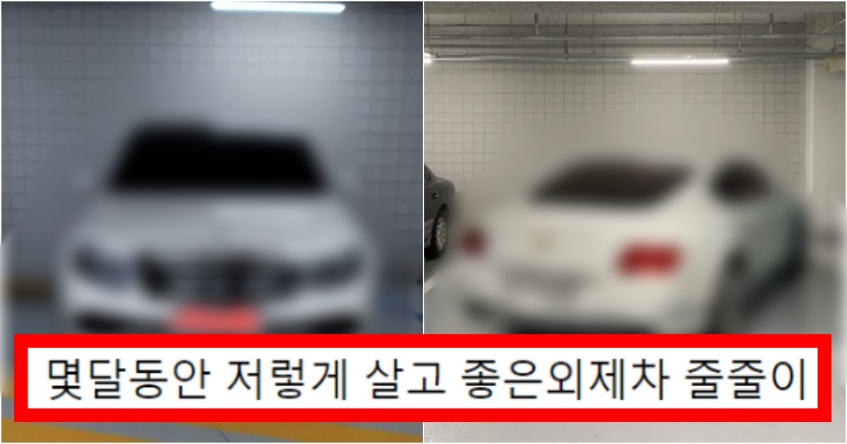 collage 153.jpg?resize=412,275 - “저희 동네 유행하는 주차고수들이 하고 있는 주차하는 수준인데 어떠신가요??ㅋㅋ”