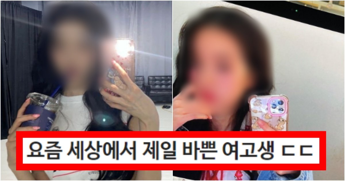 collage 220.jpg?resize=412,275 - '인정 안 할수가 없는 부분ㄷㄷ;' 요즘 대한민국에서 제일 바쁘게 살고 있는 여고생 수준(+정체, 이유)
