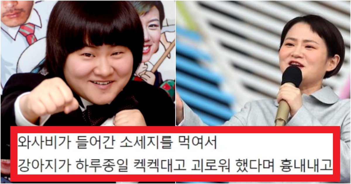 collage 54.png?resize=412,275 - '송해 후임 될 자격이 있어요?' 점점 공론화되기 시작해버린 '김신영' 과거 동물 학대사건(+상황, 댓글반응)