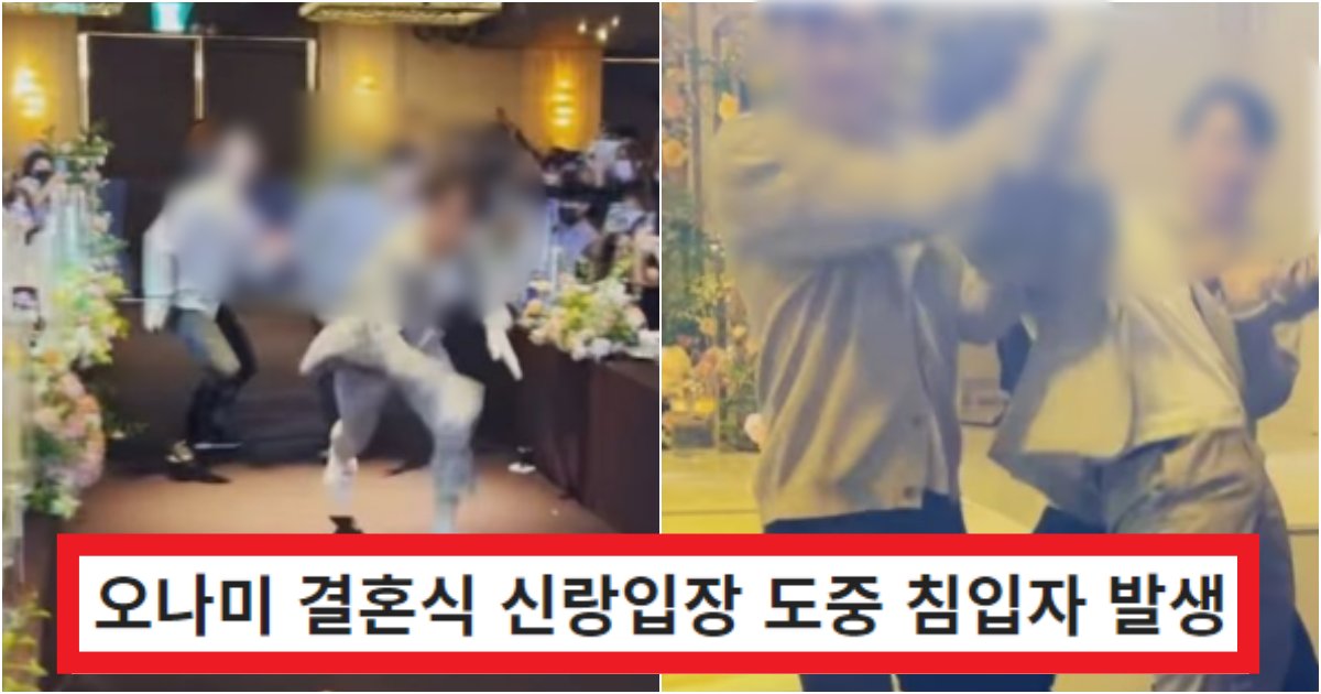 collage 6.png?resize=412,275 - '저렇게까지 하는 거 이해함..' 오나미 결혼식 신랑입장 도중 역대급 '침입자' 나타난 상황(+영상)