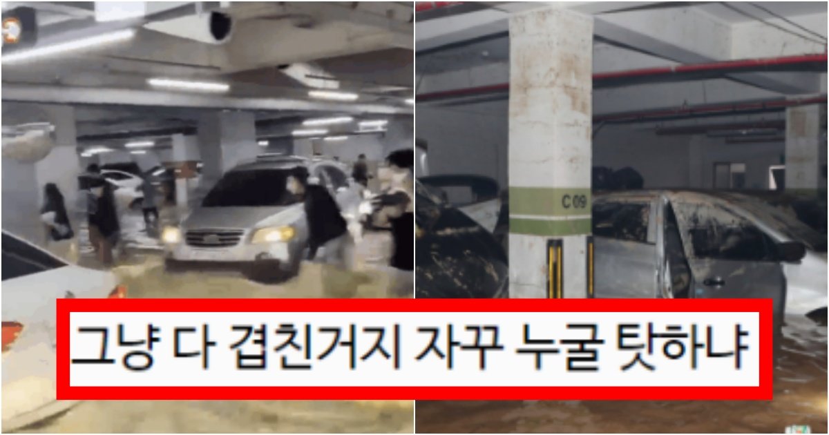 collage 72.jpg?resize=412,275 - ‘나 같아도 방송은 했을거야..’ 현재 포항 아파트 관리사무소가 욕을 먹자 사람들이 보인 반응(+반전, 댓글 반응)