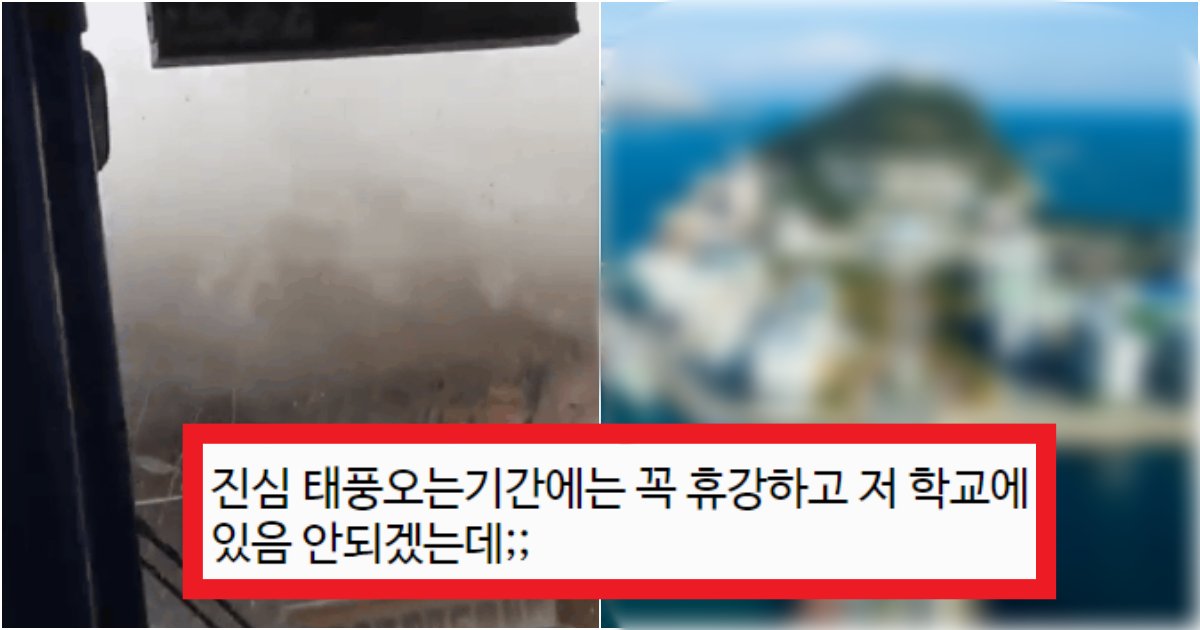 collage 8.png?resize=412,275 - '목숨걸고 학교다님....' 현재 태풍으로 초긴장 상태를 유지하고 있다는 '부산'의 대학교 수준(+위치, 사진)