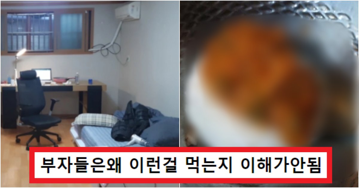collage 86.png?resize=412,275 - '이게 ㄹㅇ 실생활이네..' 커뮤에서 난리 난 흙수저의 한 달 식비 10만원으로 살아남는 법(+사진)