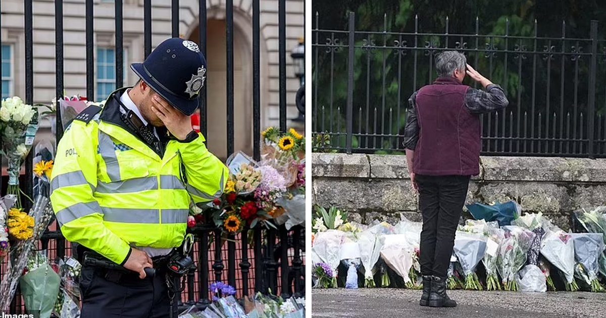 d24.jpg?resize=1200,630 - "We Salute You Ma'am!"- Emotional Police Officer Breaks Down In Tears While Performing Duty Outside The Royal Palace
