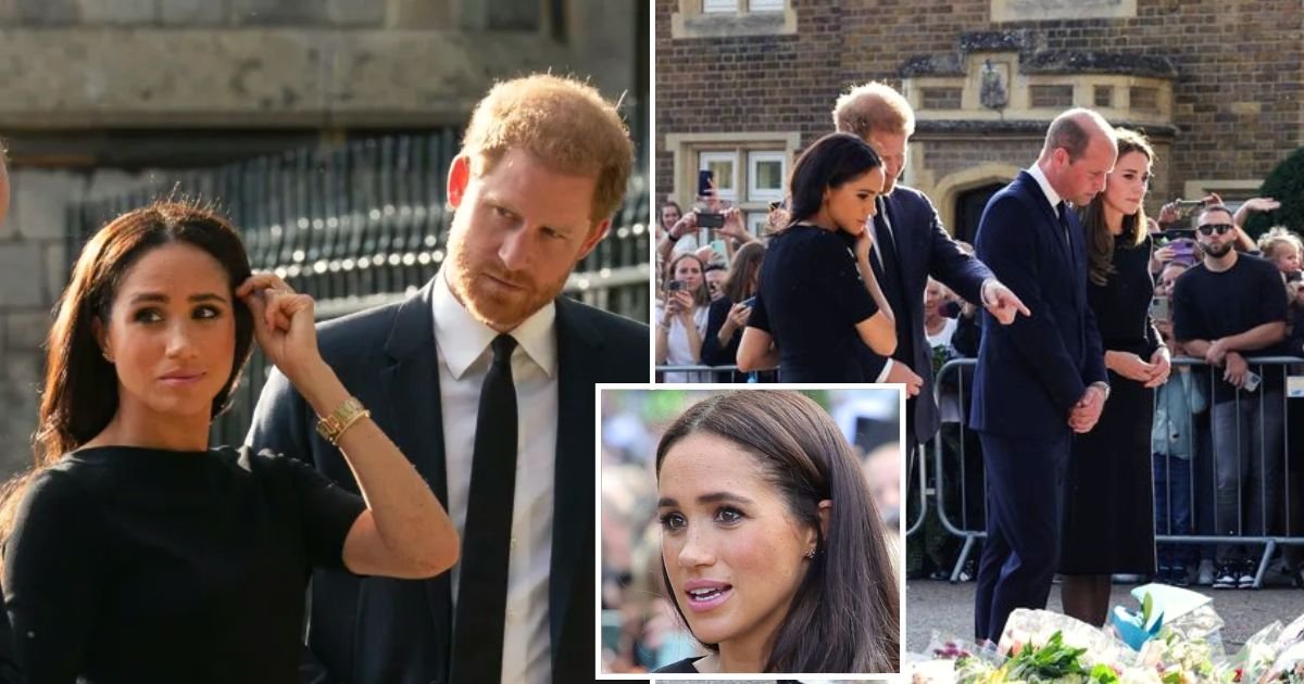 dog4 1.jpg?resize=412,275 - SWEET Moment Prince Harry Called His Wife Meghan Over To Look At An Adorable Dog He Spotted Outside Windsor Castle