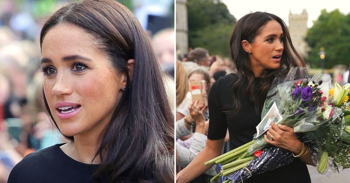 shake3.jpg?resize=412,275 - Meghan Markle Faced An AWKWARD Moment When She Was Completely SNUBBED By A Royal Well-Wisher Who Refused To Shake Her Hand