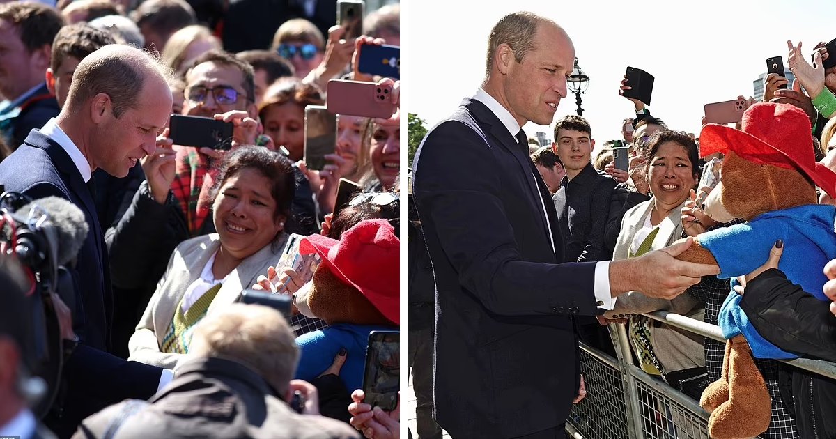 t3 1 2.png?resize=1200,630 - "Princess Diana Would Be So Proud Of Him!"- Royal Fans Gush Over Prince William & Call Him A 'Natural' With The Crowds