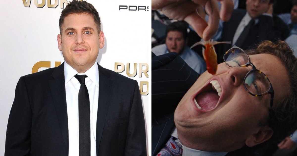 t5 2 2.png?resize=412,275 - EXCLUSIVE: Jonah Hill Got Paid ONLY $60,000 For His Role In 'The Wolf Of Wall Street'