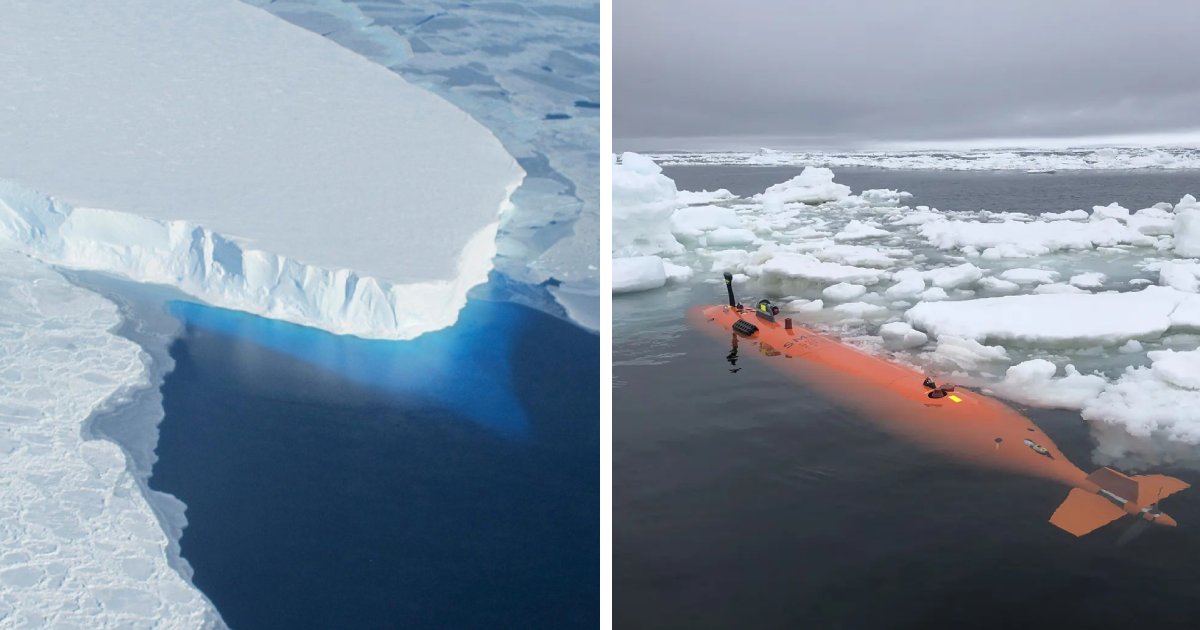 t6 2.png?resize=1200,630 - BREAKING: Scientists Issue Alarm As 'Doomsday' Glacier Hangs On 'By Its Fingernails'