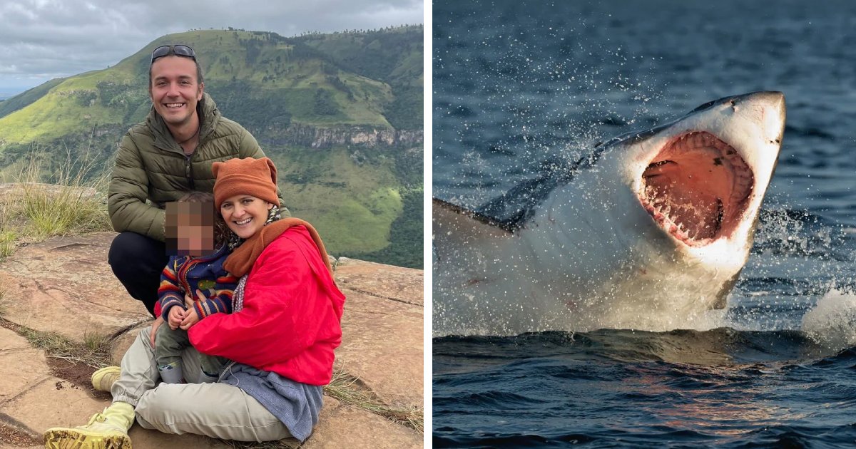 t9 6 1.png?fit=1024%2C538&ssl=1&strip=all - JUST IN: Beautiful Mother Mauled To Death By Great White Shark While Her Family Unknowingly Paddled Across The Beach