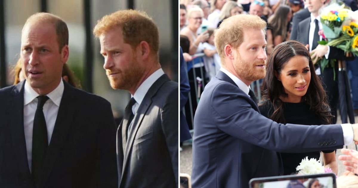 text3.jpg?resize=1200,630 - BOMBSHELL Text Message From Prince William To Prince Harry Asking Him If He And Meghan Wanted To View Flowers Together, Reports Reveal