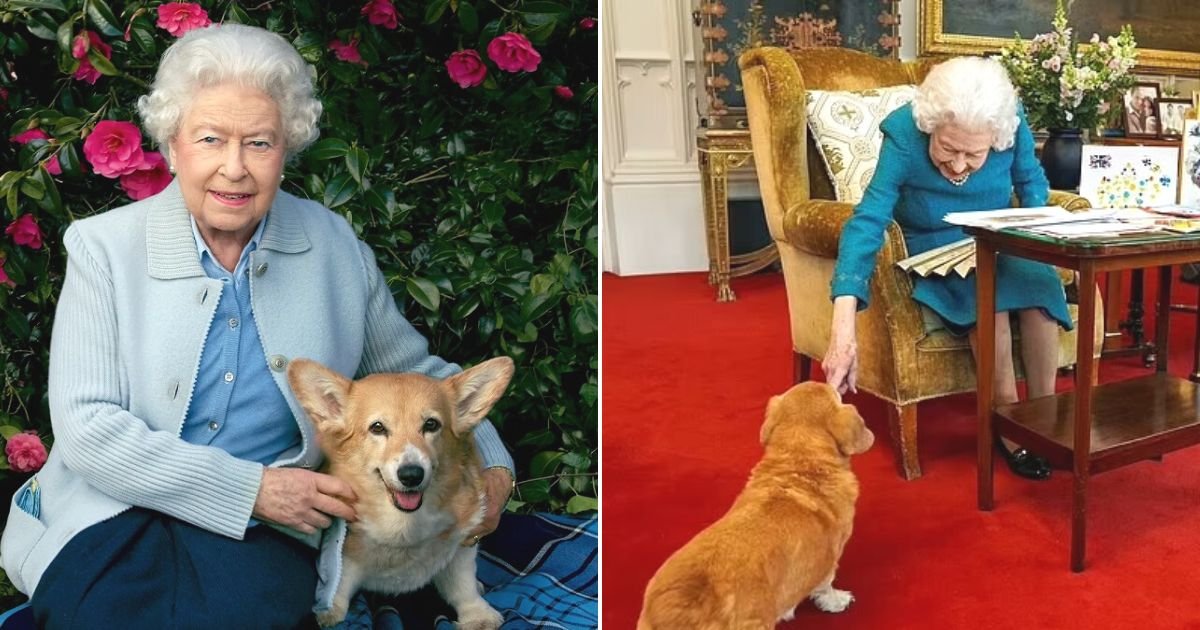 untitled design.jpg?resize=1200,630 - Royal Family Reveals What Will Happen To The Queen's Beloved Corgis