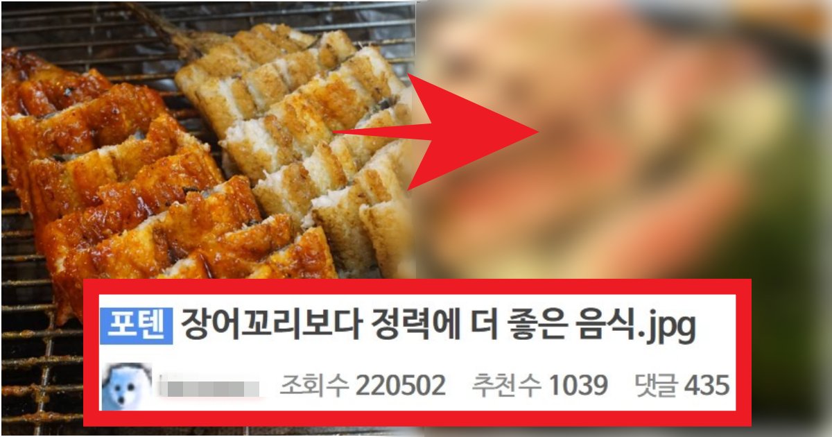 collage 100.png?resize=412,275 - '장어+복분자???? 별론데요???' 사람들이 은근 잘 모르고 있는 장어꼬리보다 더 정력에 좋은 음식(+정체, 이유)