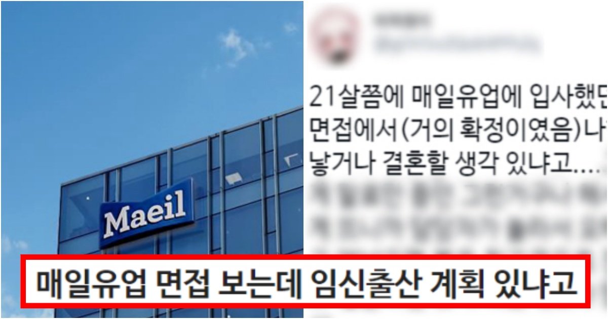 collage 119.jpg?resize=412,275 - "매일유업 면접을 보러 갔는데, 임신출산 계획 있냐고 물어보는데 전 너무 좋은데 제가 이상한가요?"